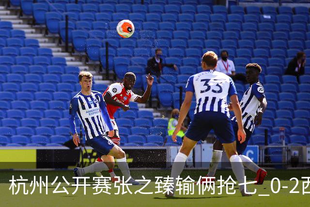 杭州公开赛张之臻输俩抢七 0-2西里奇收获亚军